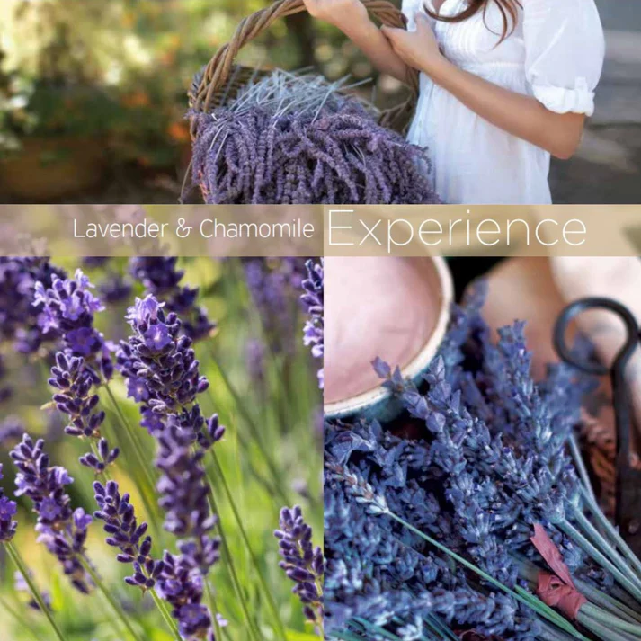 Cuccio Lavender & Chamomile Cuticle Oil 2.5 oz - Image 3