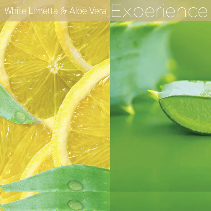 Cuccio White Limetta & Aloe Vera Cuticle Oil 2.5 oz - Image 3