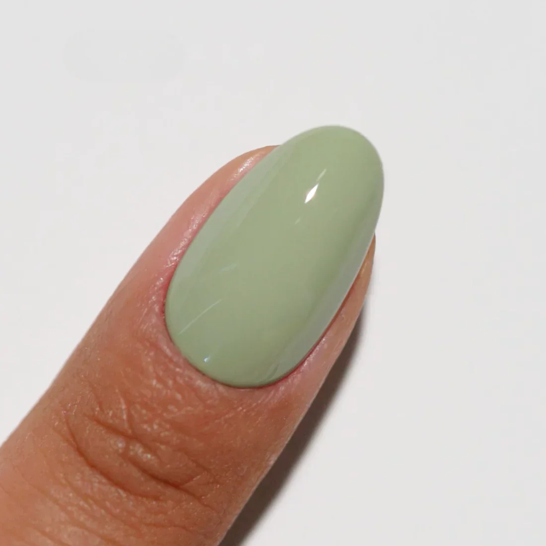 Diva Duo - 277 Foggy Fern - Image 3
