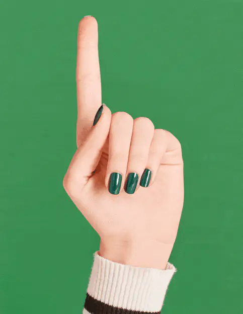 OPI Nail Polish - Washington D.C Fall 2016 - Stay Off The Lawn! NL W54 - Image 4