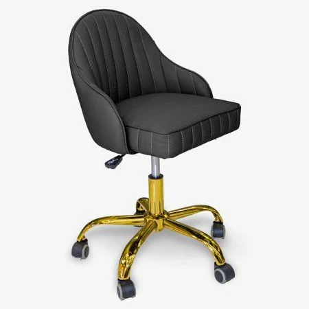 T-SPA Berwin Technician Chair - Image 2