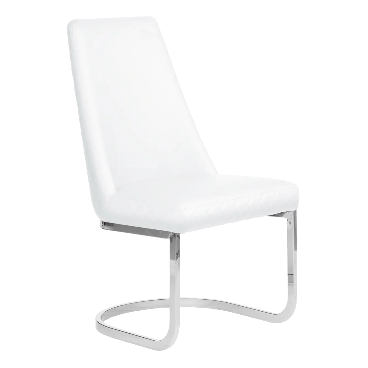 WHALE SPA CUSTOMER CHAIR DIAMOND 8109 - Image 2