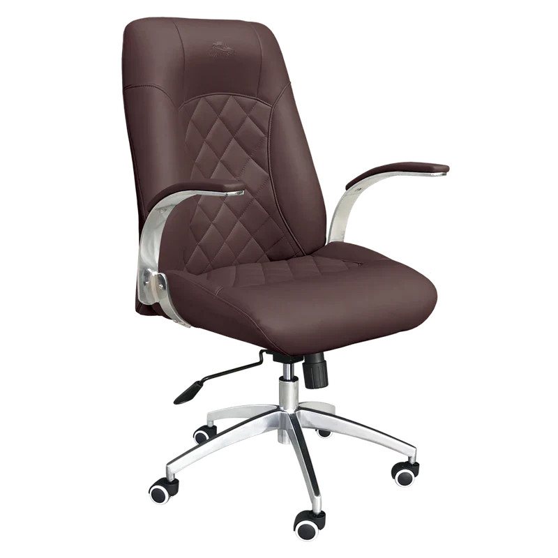 WHALE SPA DIAMOND CUSTOMER CHAIR 3209 - Image 4