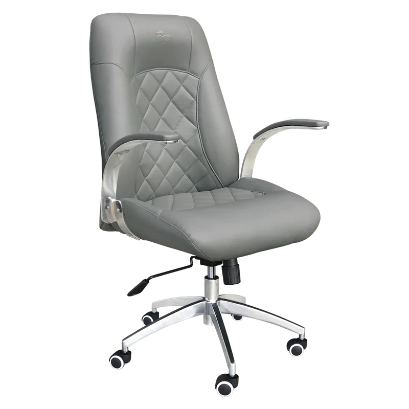 WHALE SPA DIAMOND CUSTOMER CHAIR 3209 - Image 5